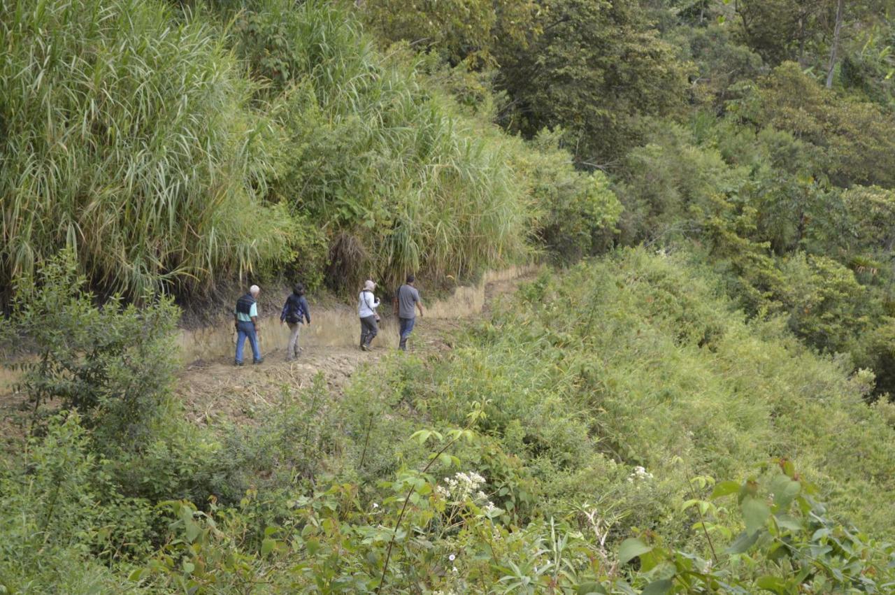 Sonarte Reserva Natural Cordoba  エクステリア 写真