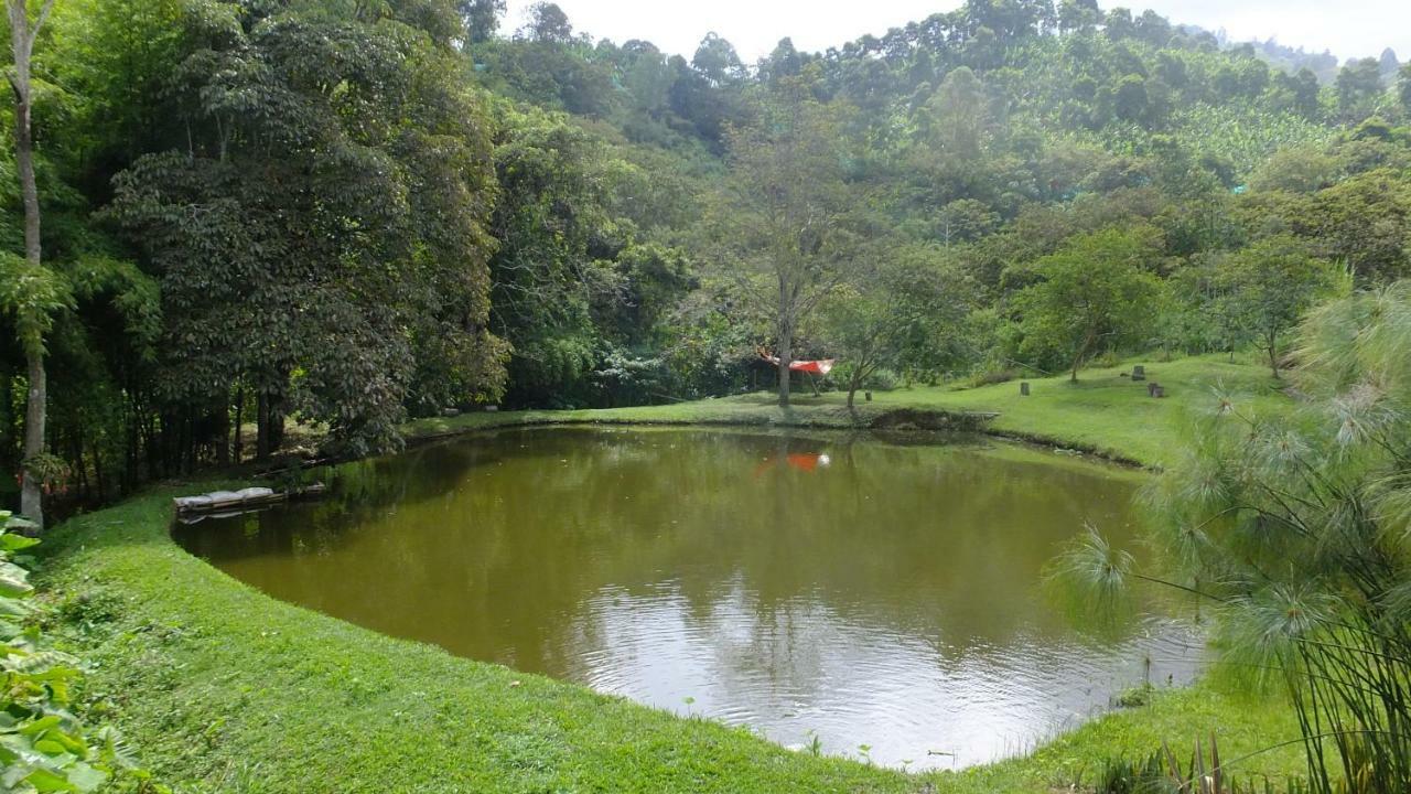 Sonarte Reserva Natural Cordoba  エクステリア 写真