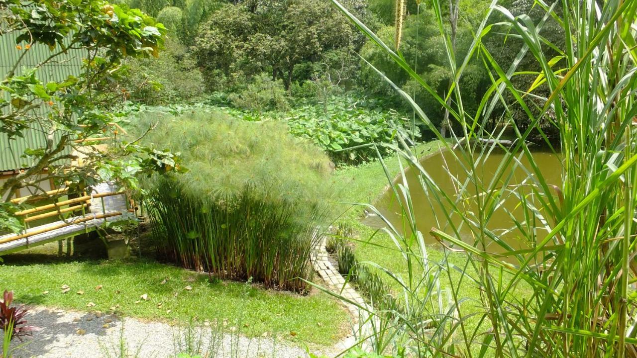 Sonarte Reserva Natural Cordoba  エクステリア 写真